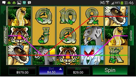 lucky247 casino app
